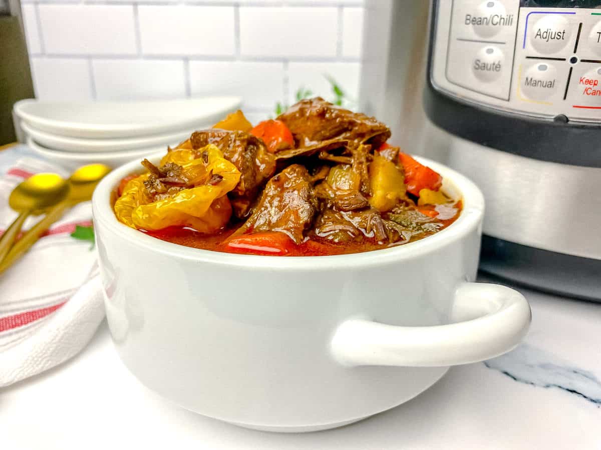 instant pot guinness beef stew_8882