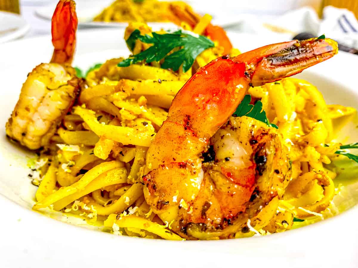 curry fettucine with jerk shrimp_6213